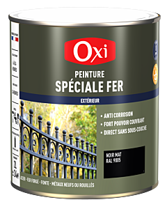 PEINTURE SPECIALE FER MAT