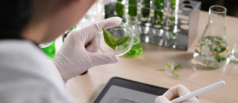 Owatrol® & Innovation Biosourcée