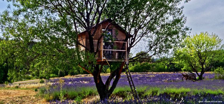 [DIY] Comment construire une cabane en bois ?