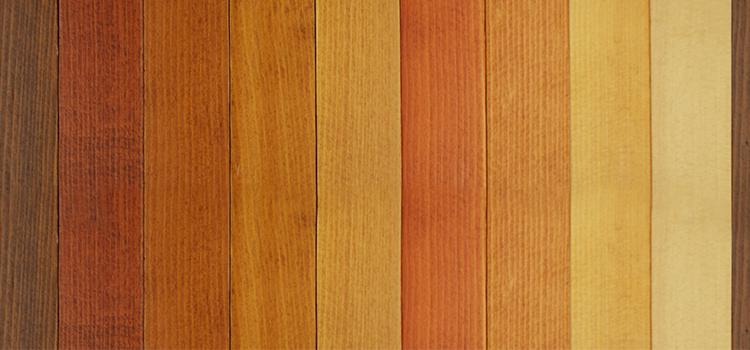 Découvrez le tableau de durabilité des bois